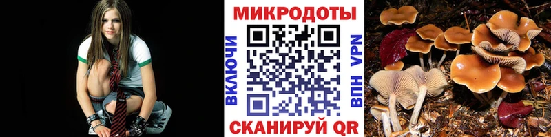 Галлюциногенные грибы Psilocybe  Троицк 